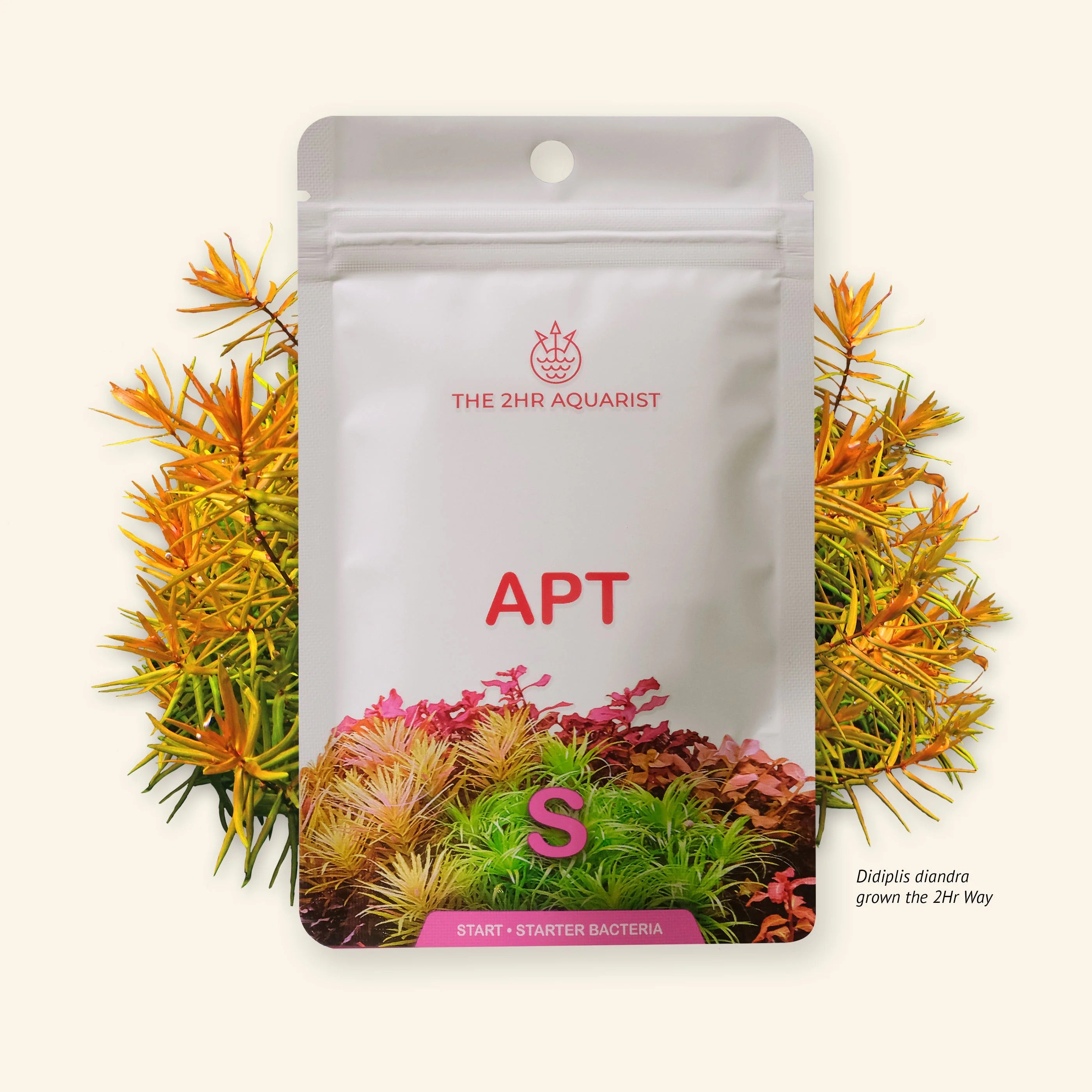 Aquarium starter bacteria 'The 2HR Aquarist' branding and aquatic plants on a white background.