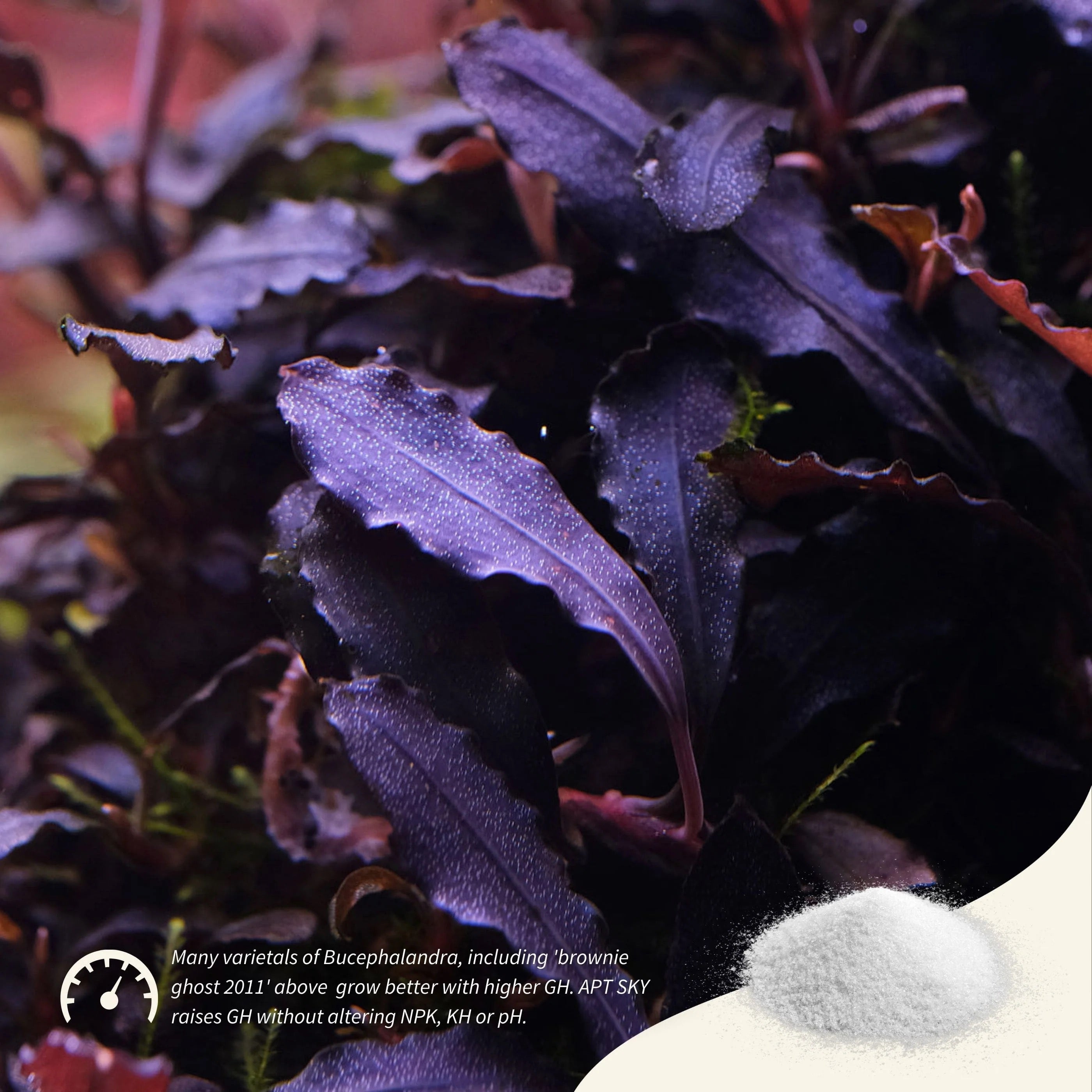 APT SKY Water Hardness Boost