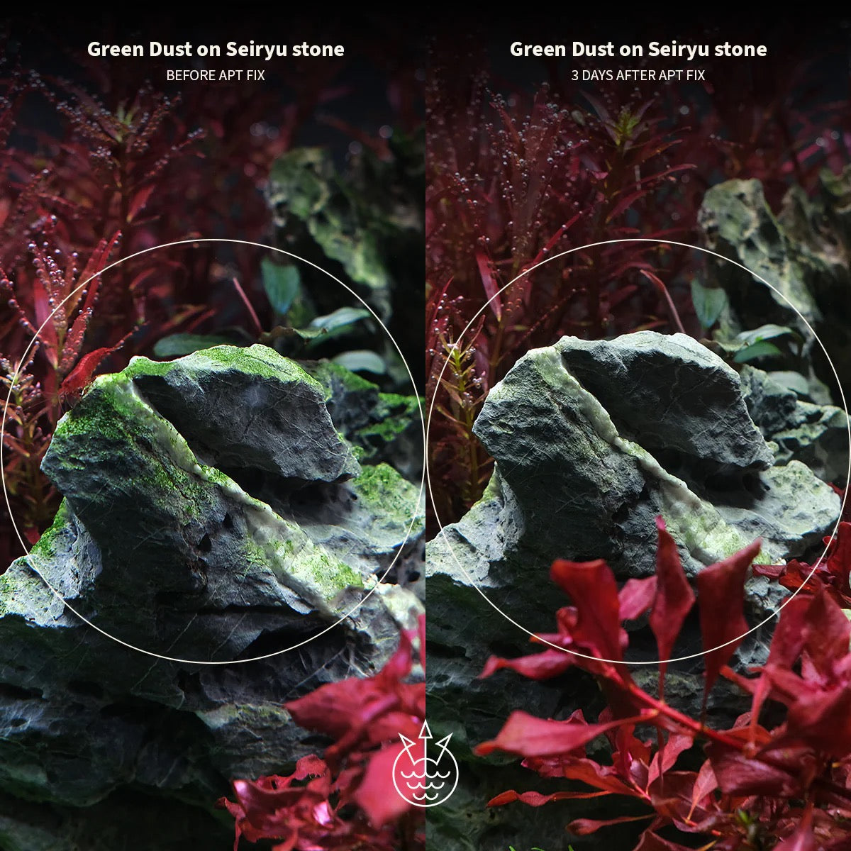 APT Fix Algae Control