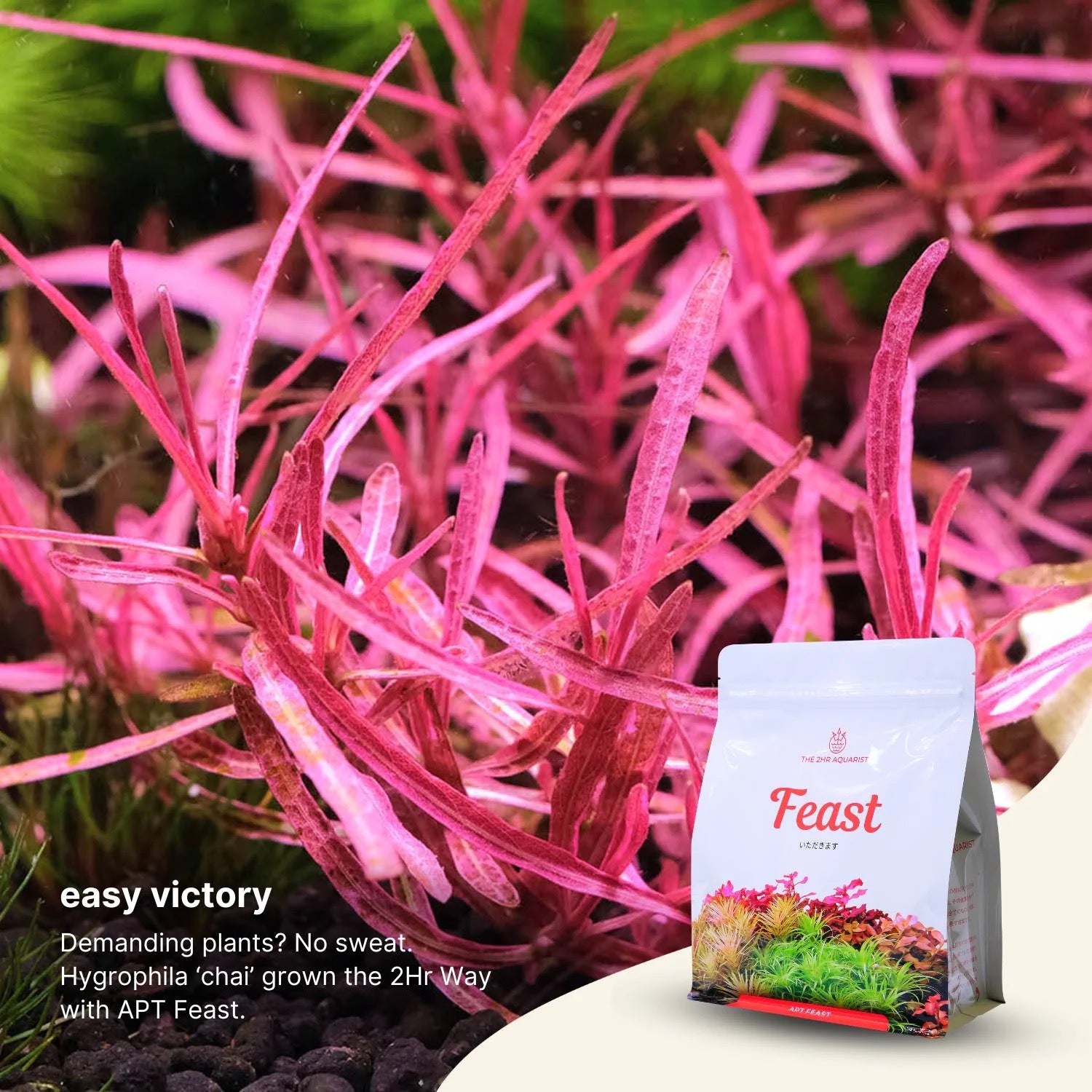 2HR AQUARIST APT Feast Aquarium Aqua Soil Substrate