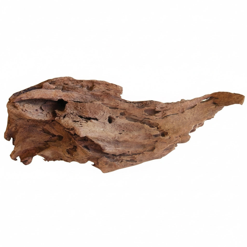 aquarium drift wood small