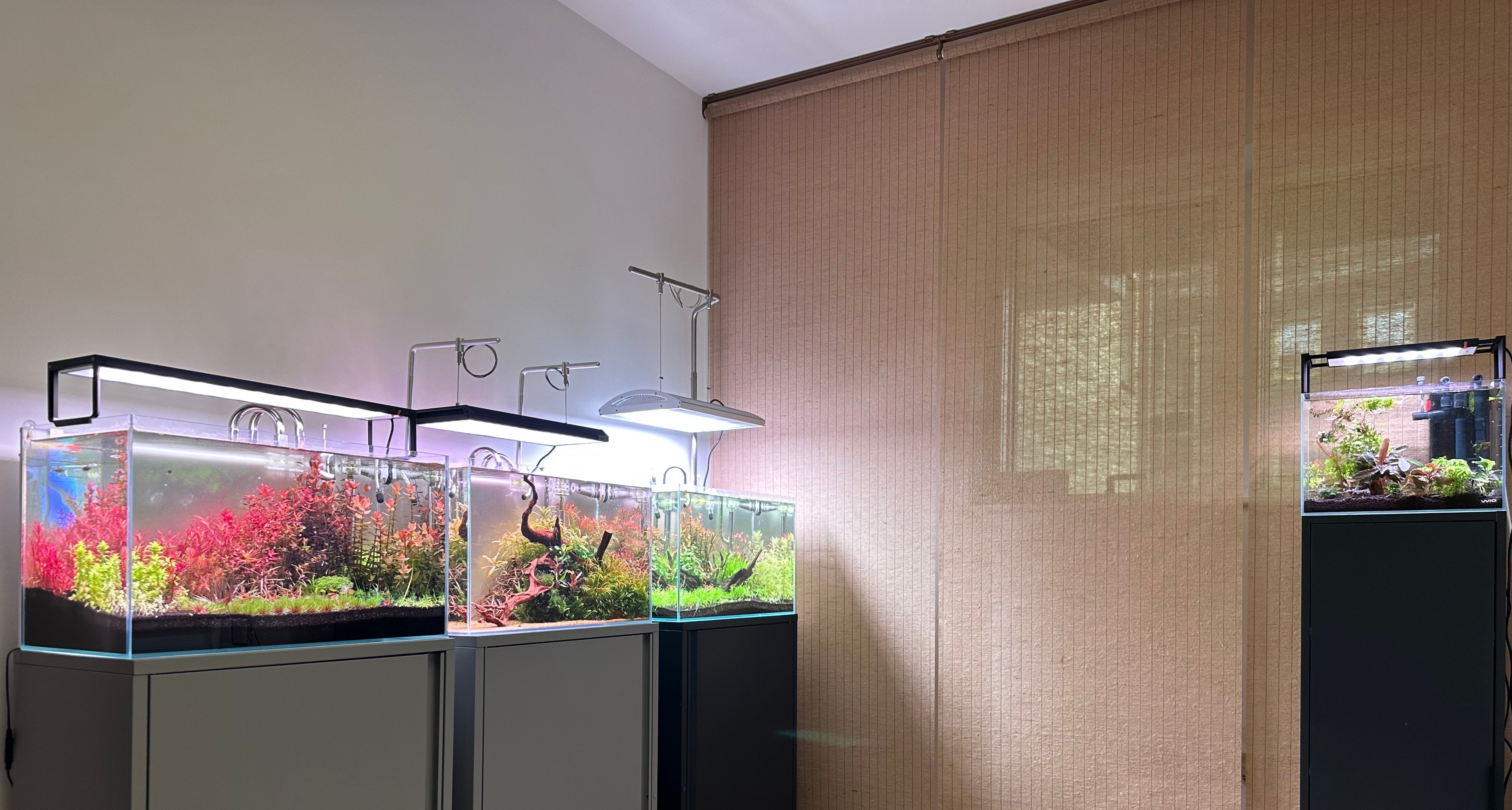 Three aquariums on a stand with stools in front in a room with a woven blind.