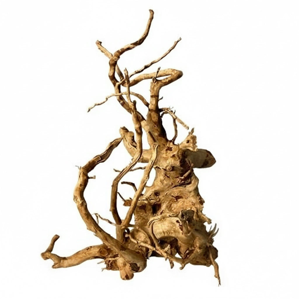 red moor root driftwood branches