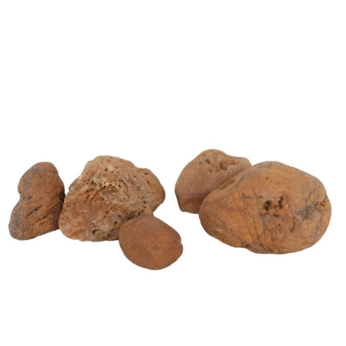 yellow cobble stone aquarium hardscape smooth and round