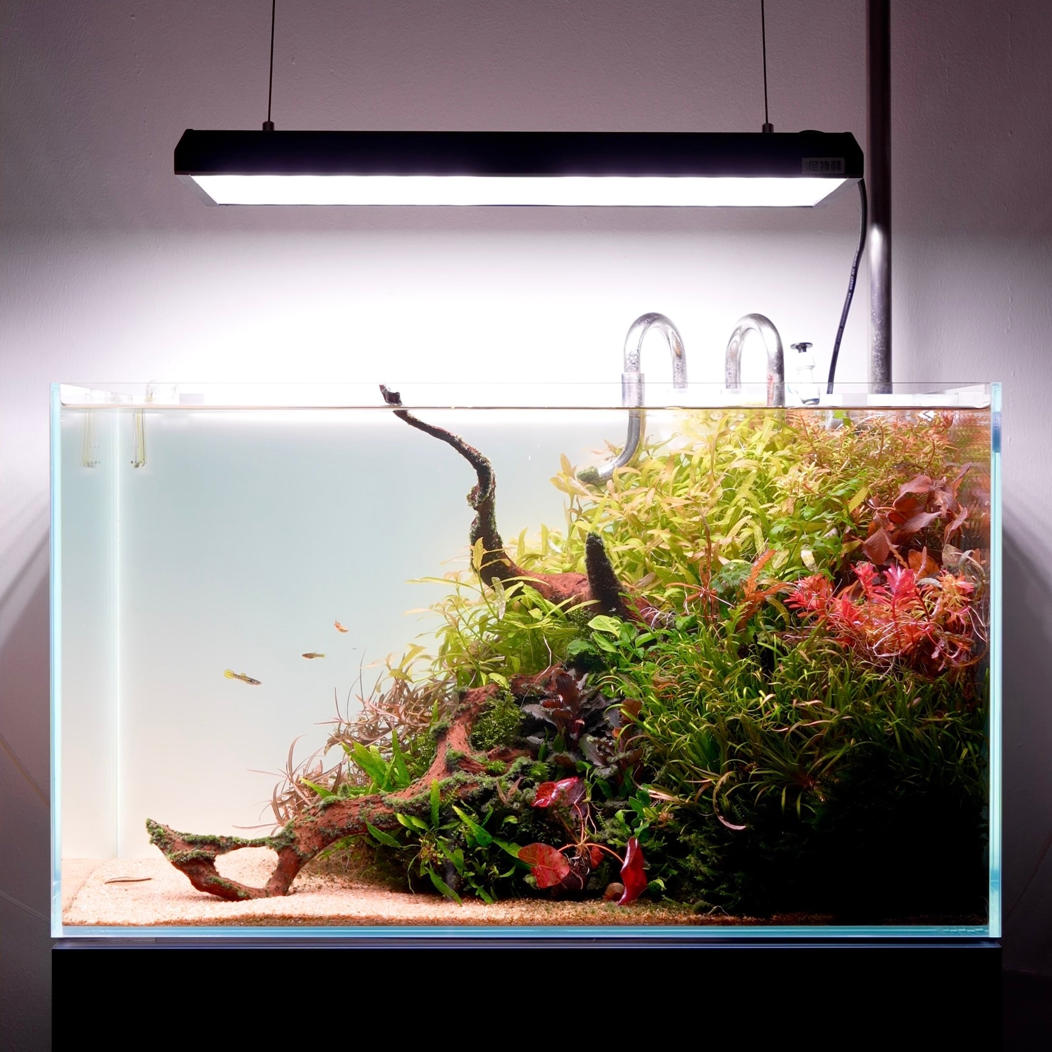 Ultra Clear Rimless Aquarium Fish Tank 60 cm