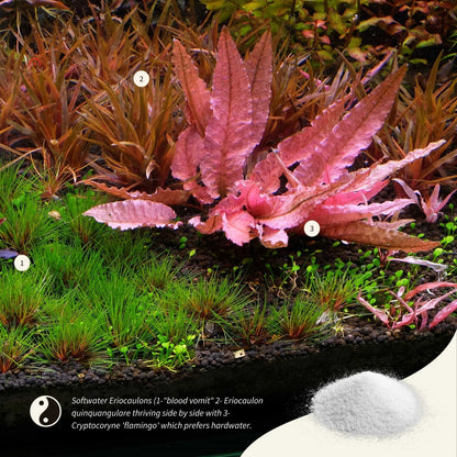 APT SKY Water Hardness Boost