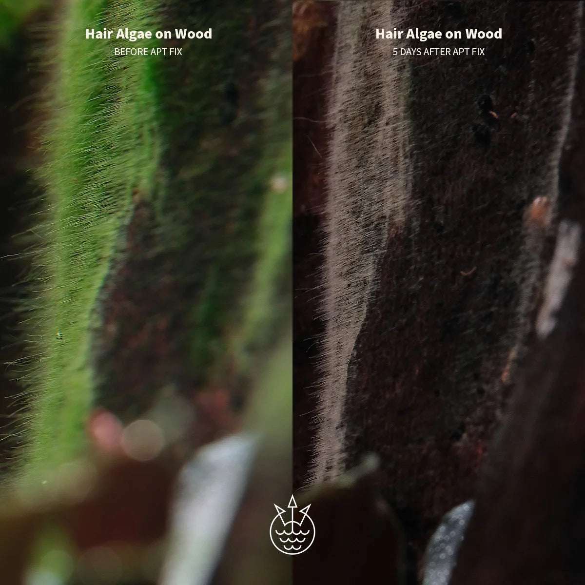 APT Fix Algae Control