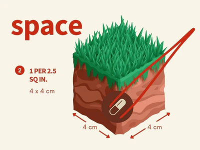 2HR AQUARIST APT Jazz Aquarium Plant Root Tabs