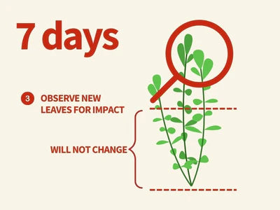 2HR AQUARIST APT Jazz Aquarium Plant Root Tabs