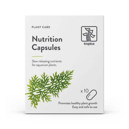 A box of Tropica Nutrition Capsules for plant care, indicating slow releasing nutrients for aquarium plants, containing 10 capsules and promoting healthy plant growth.