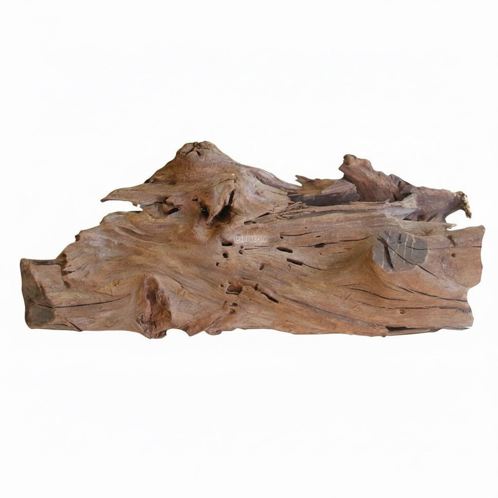 aquarium drift wood large front