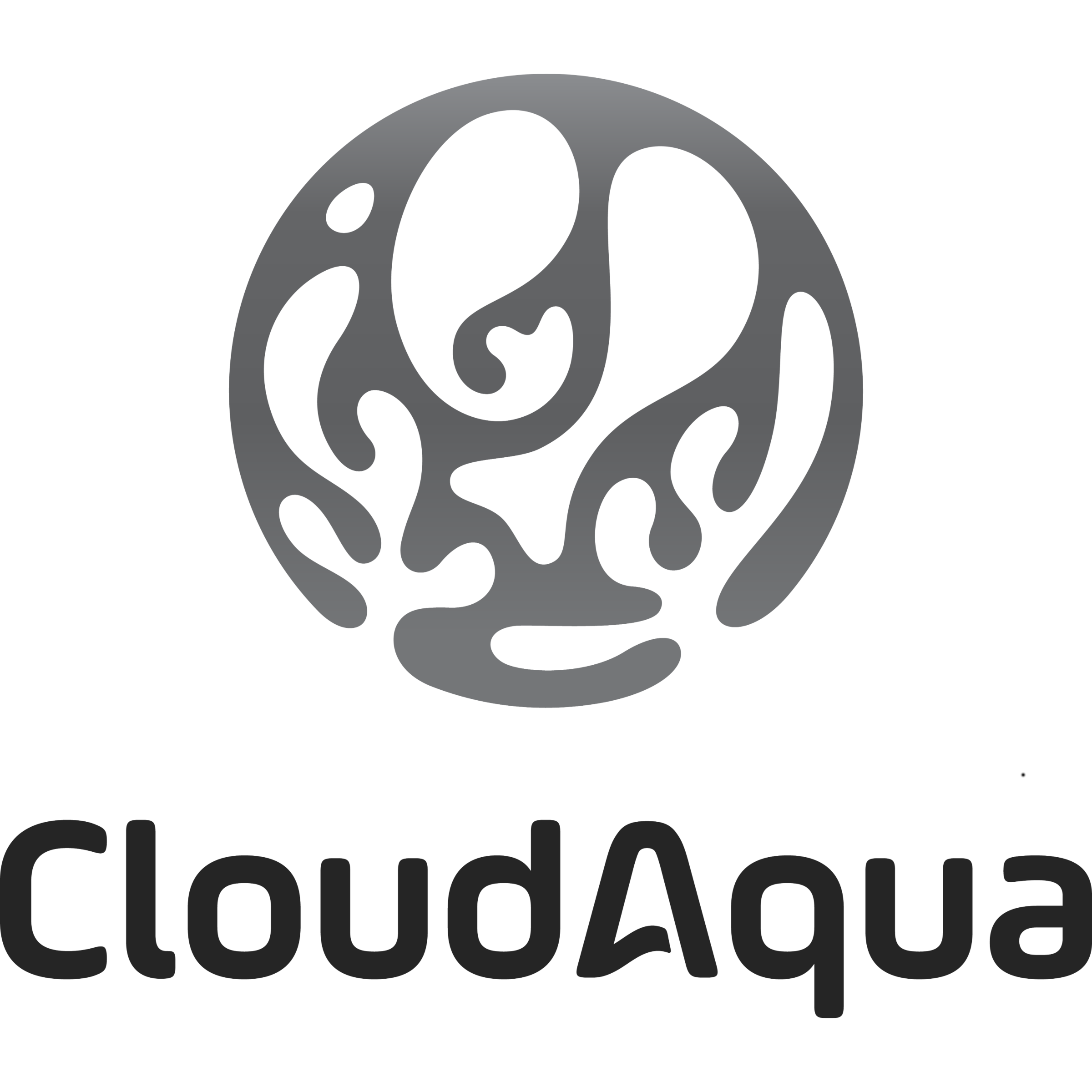 cloudaqua grey logo favicon