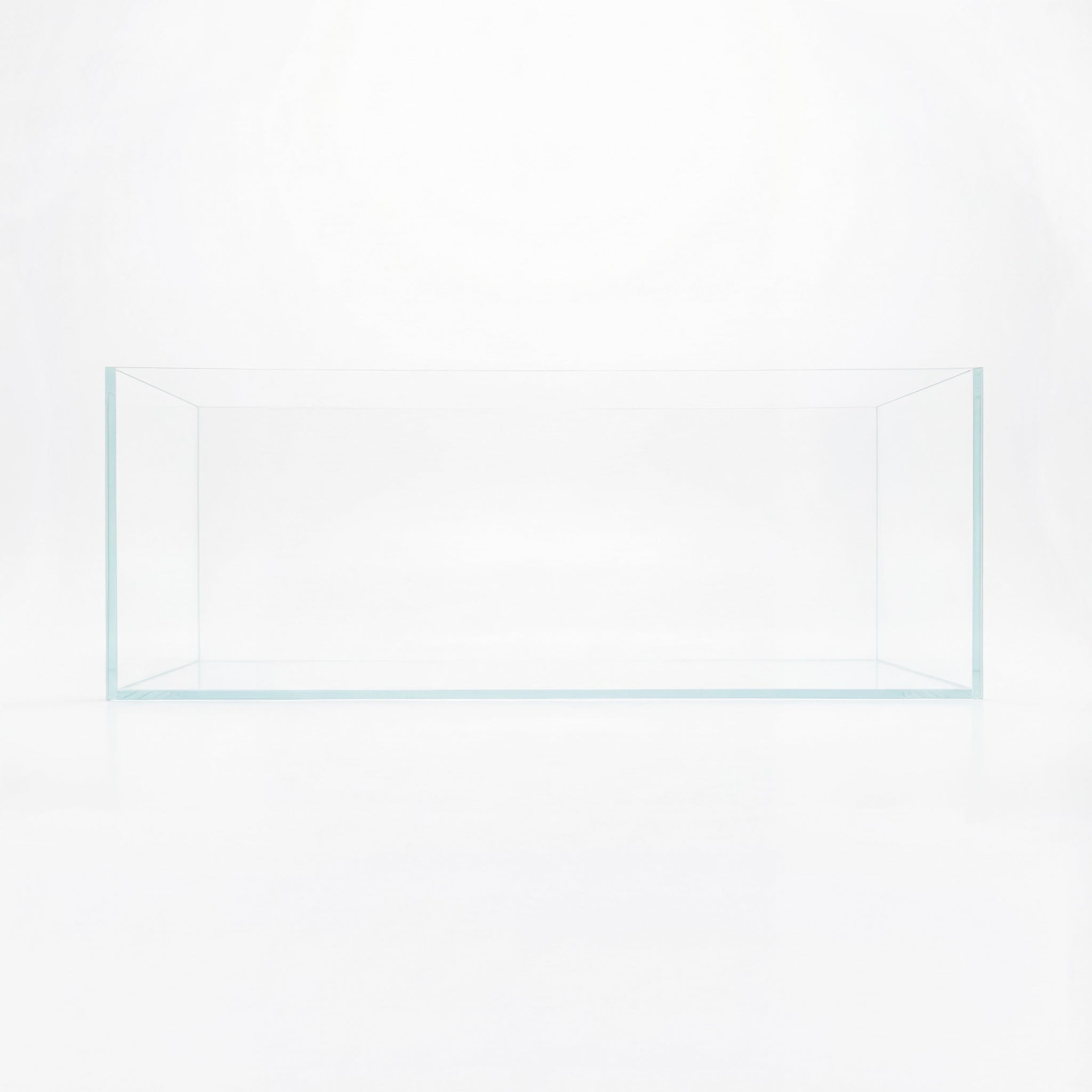 clear glass fish tank rimless front view 120cm 4ft