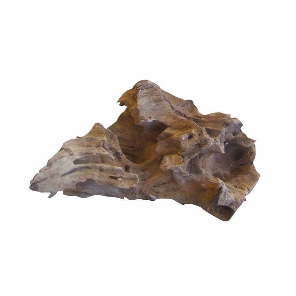 angular mangrove drift wood for aquarium