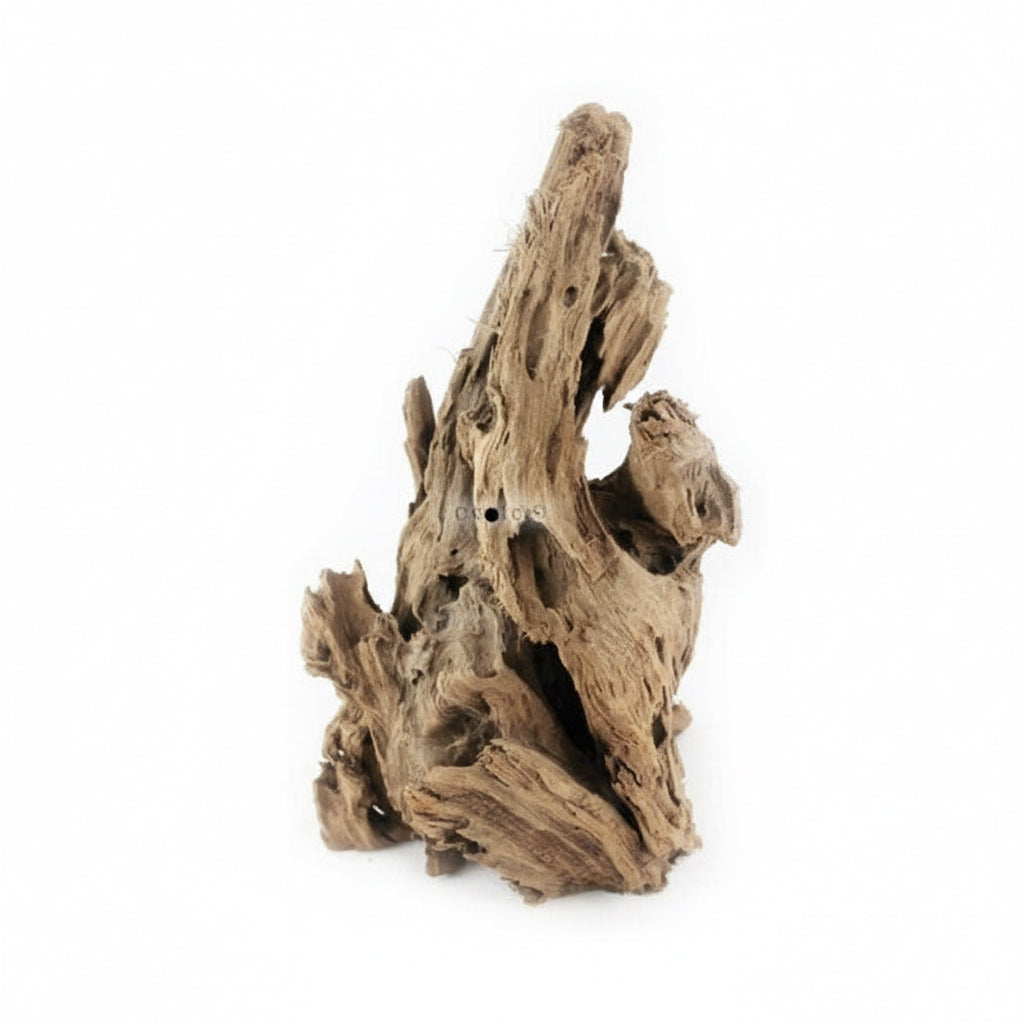 mangrove drift wood aquarium white background