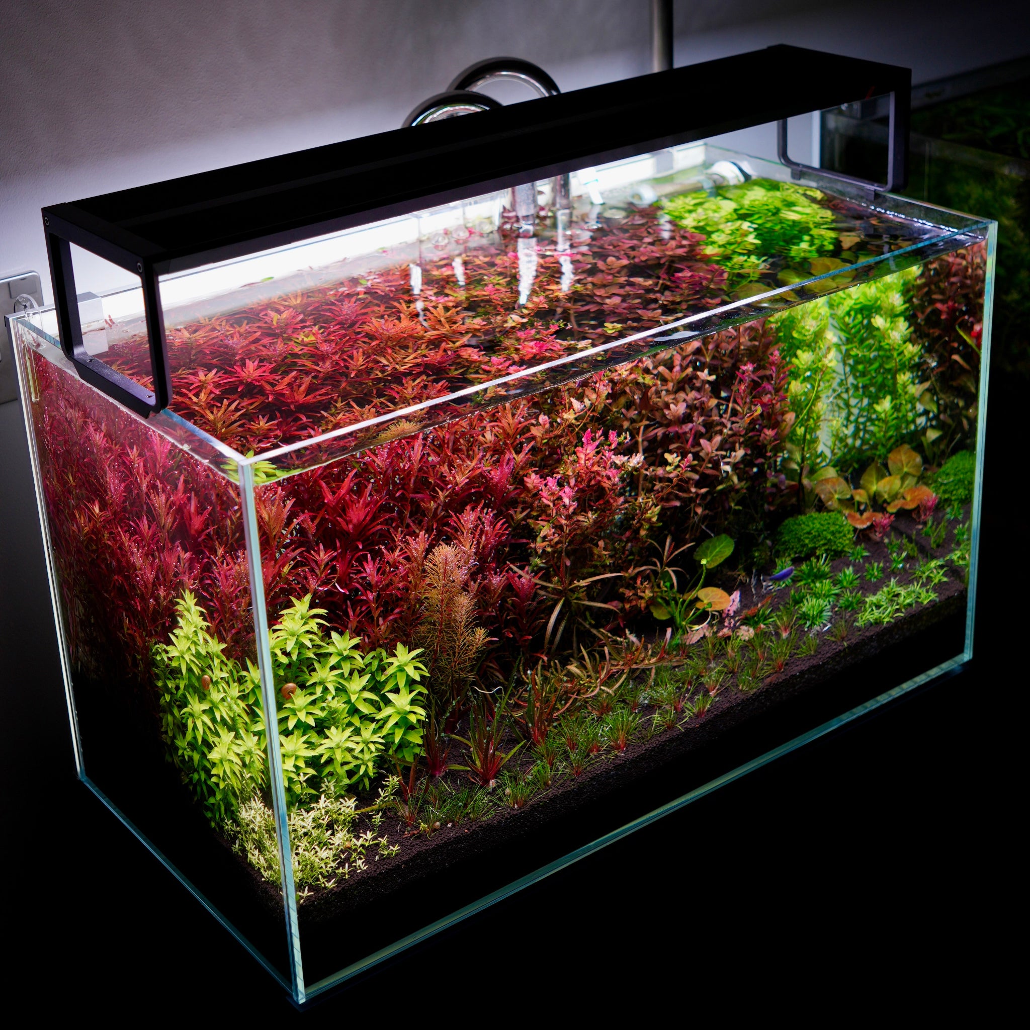 netlea at5 series 5 aquarium light with dutch style aquarium