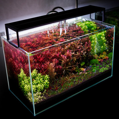 netlea at5 series 5 aquarium light with dutch style aquarium