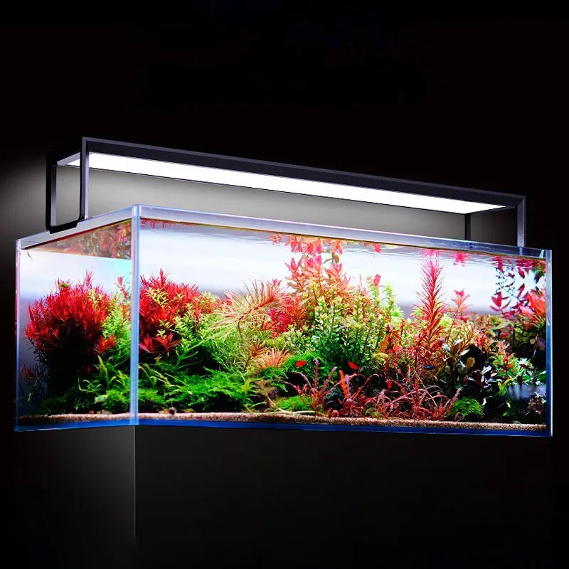 netlea at5 light with planted aquarium
