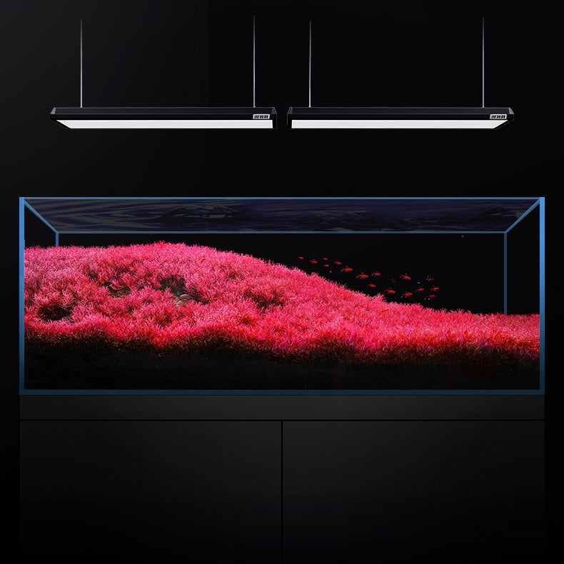 Aquarium with red plants and fish, illuminated by two netlea at7 lights