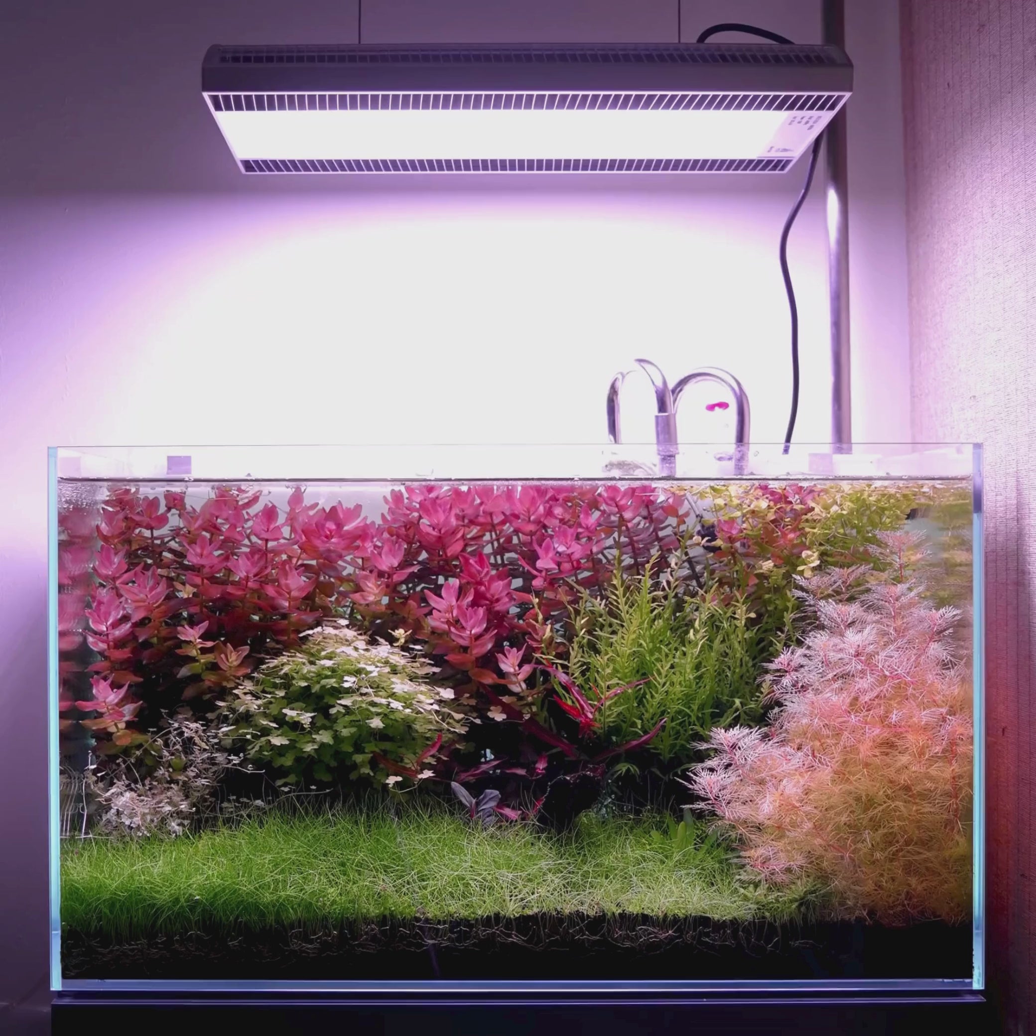Weekaqua A-Series A430 Pro LED RGB Aquarium Light – Cloud Aqua