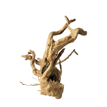 Driftwood piece on a white background