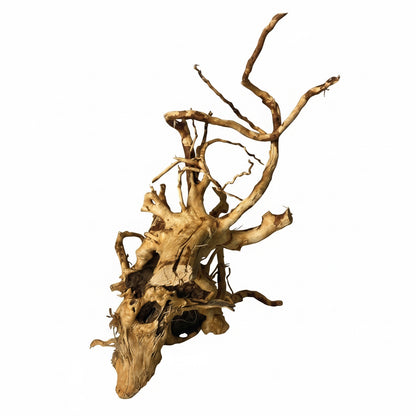 redmoor root aquarium driftwood extra large branching