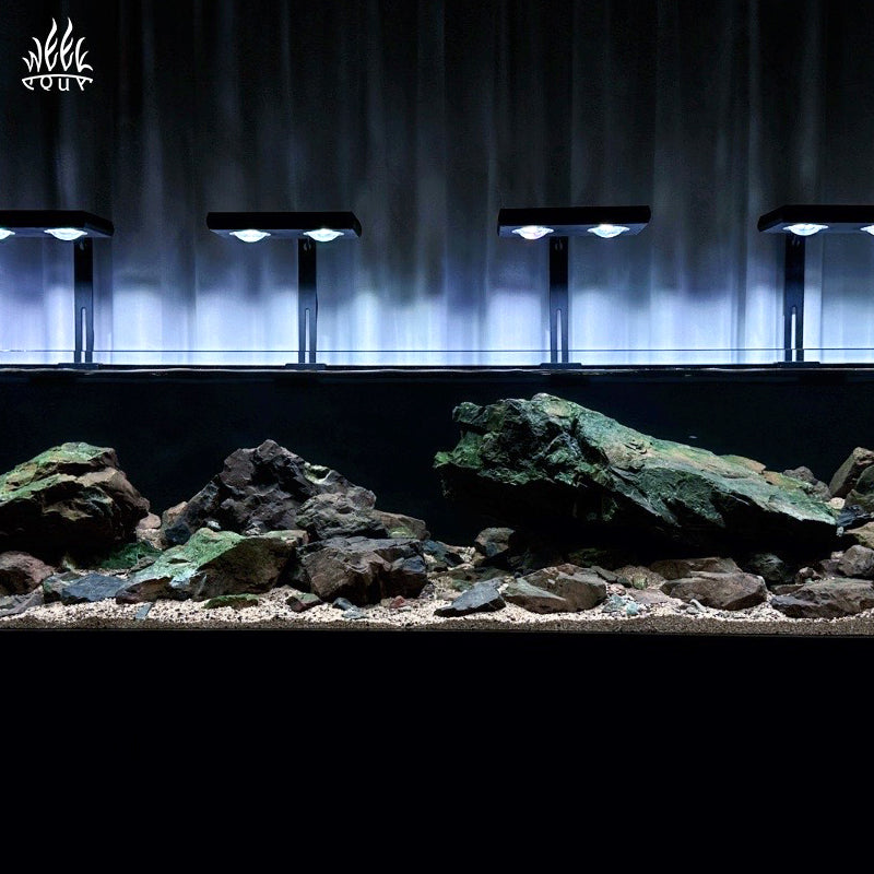 Aquarium setup with rocks and gravel under weekaqua z250 series lighting